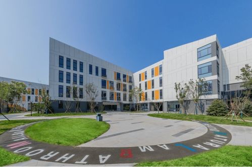 金地配建草场街教育集团盛世小学正式开学 教育高地再添新坐标