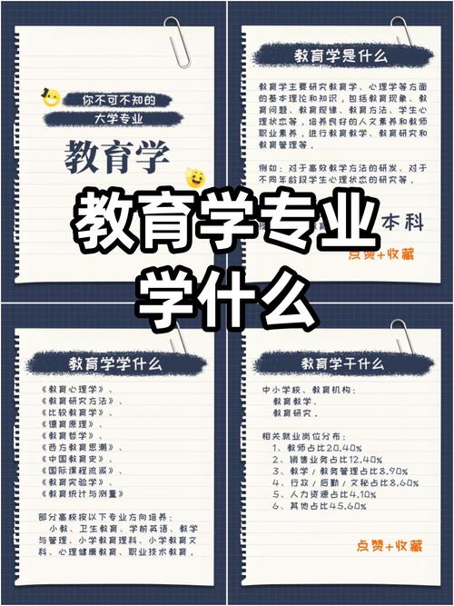 教育的无限可能 一位教育学专业学生的思考与感悟